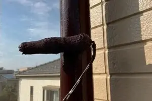 雨樋塗装