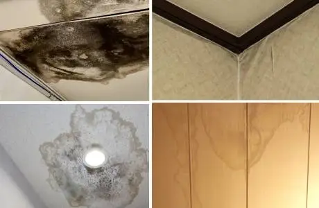 雨漏り調査・修理