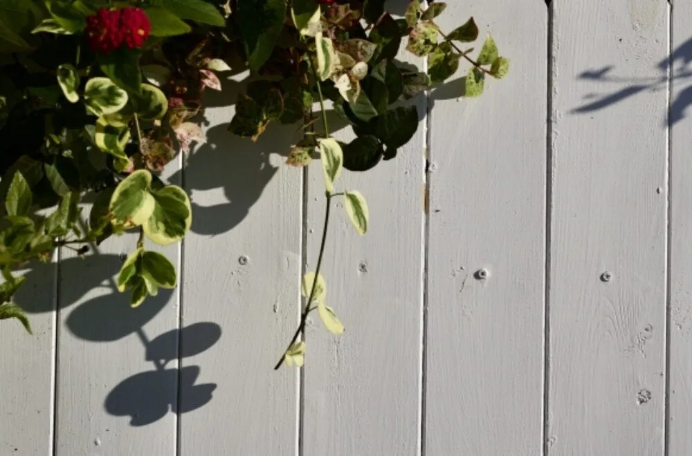 木材の壁や床、インテリア