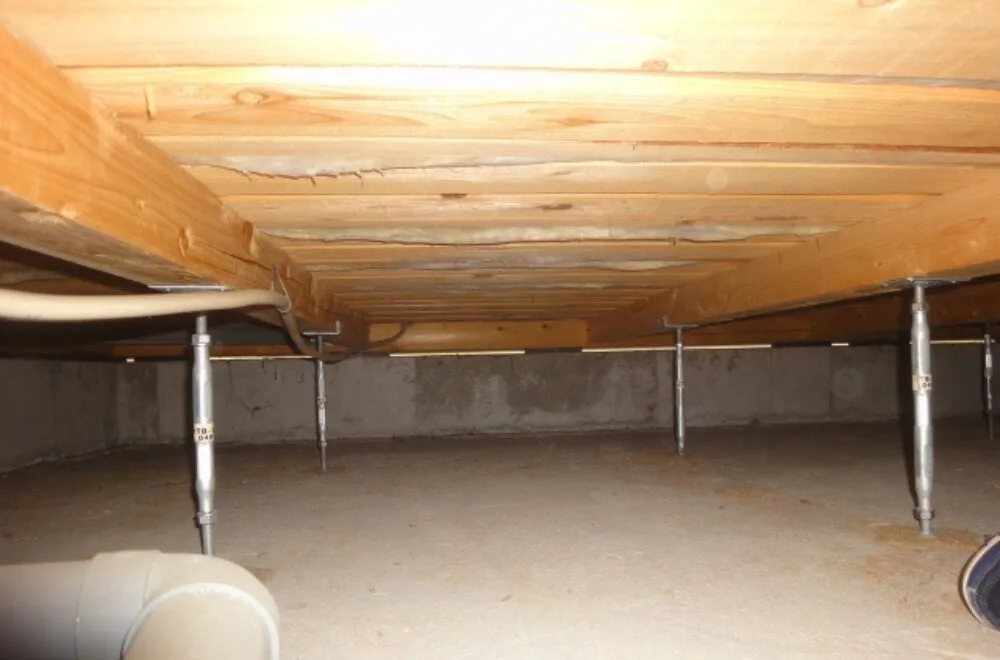 湿気が溜まる床下