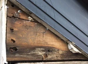 台風の影響により破風板が欠落